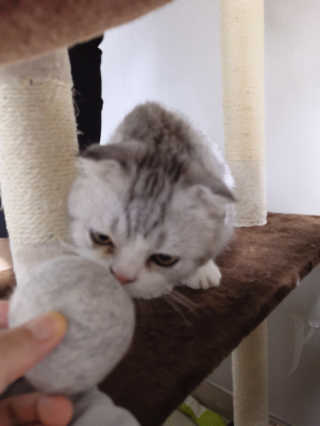이지유님이 올린 리뷰 사진 4