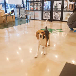 보리님이 올린 리뷰 사진 4