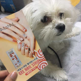 판다님이 올린 리뷰 사진 3