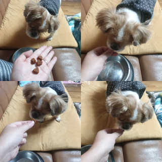 랄라나미님이 올린 리뷰 사진 3