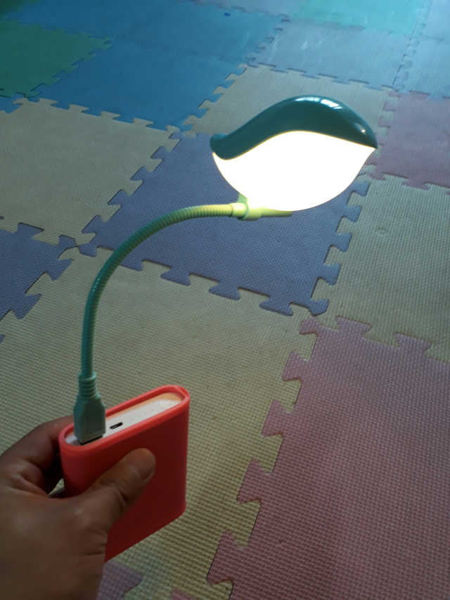 휴대용 USB LED 버드램프 LS-800 리뷰 사진