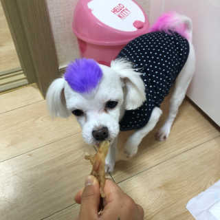 소여미님이 올린 리뷰 사진 3