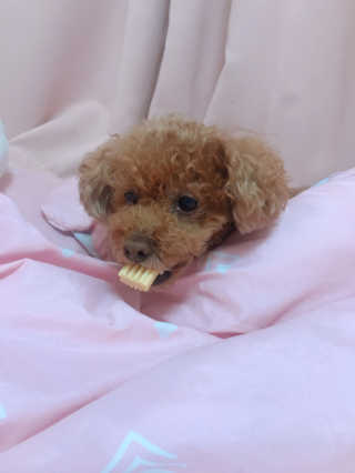 단비비비빕님이 올린 리뷰 사진 1