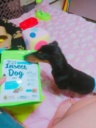 남현아님이 올린 리뷰 사진 2