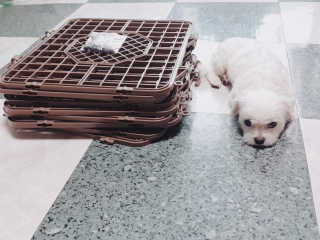 찡님이 올린 리뷰 사진 2
