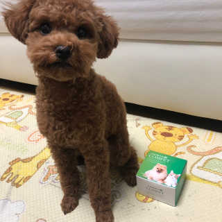 🫶🧸🫶님이 올린 리뷰 사진 4