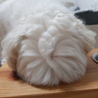 권쁜님이 올린 리뷰 사진 4