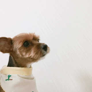 김민선님이 올린 리뷰 사진 1
