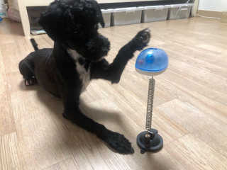 유짱님이 올린 리뷰 사진 1