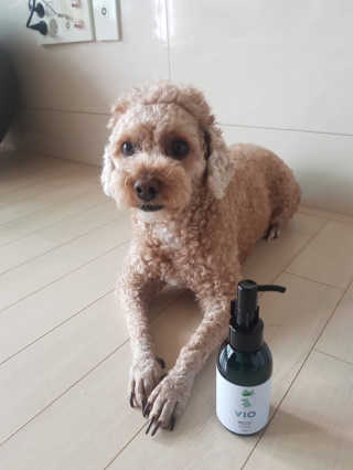 선샤인님이 올린 리뷰 사진 1