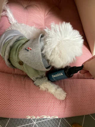 hyoju님이 올린 리뷰 사진 3