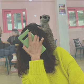 둡보이님이 올린 리뷰 사진 1