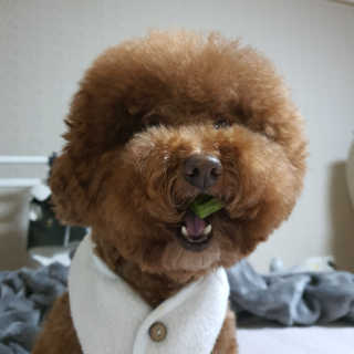쪼꼬짱님이 올린 리뷰 사진 2