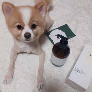마카뇽님이 올린 리뷰 사진 2