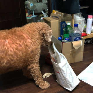 은지짱님이 올린 리뷰 사진 4