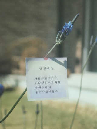 구보리님이 올린 리뷰 사진 3