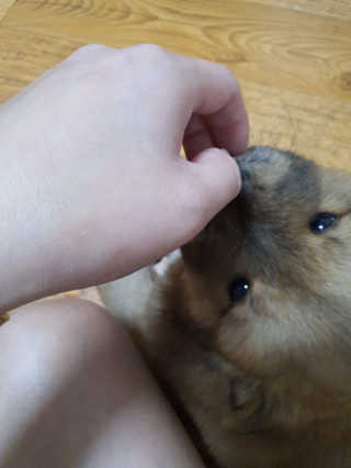 땡자엄마님이 올린 리뷰 사진 3