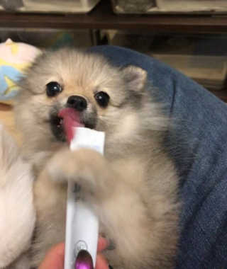 뿌쏘님이 올린 리뷰 사진 3
