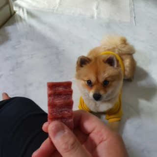 또노롱롱님이 올린 리뷰 사진 4