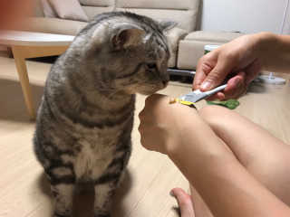 넴넴님이 올린 리뷰 사진 2