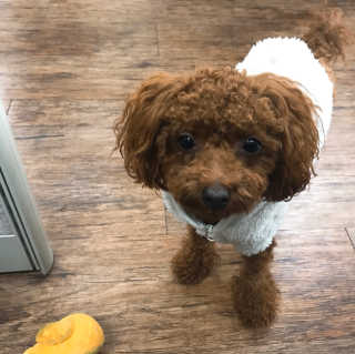 JaHyongChoi님이 올린 리뷰 사진 2
