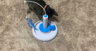 만시기집사님이 올린 리뷰 사진 2