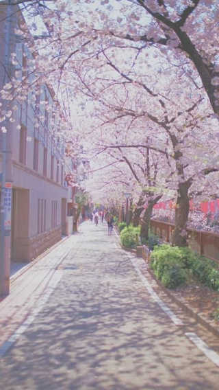 유닉스 USB 충전식 헤어롤 슈가핀 38mm — 5점을 준 리뷰어가 2020년 3월 올린 사용 사진