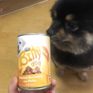 [펫토리아]배피 고양이,빌리강아지 대용량주식캔 — 4점을 준 리뷰어가 2019년 7월 올린 사용 사진