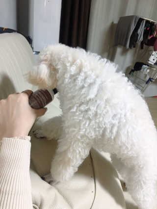 해롱이님이 올린 리뷰 사진 3