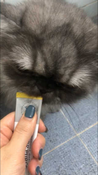 코방울님이 올린 리뷰 사진 1