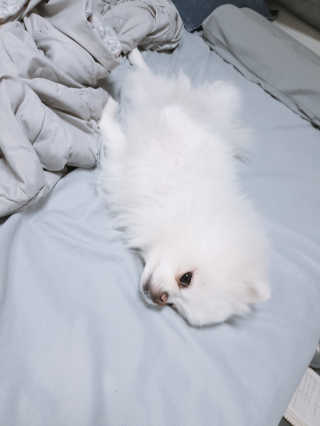 황선아님이 올린 리뷰 사진 2