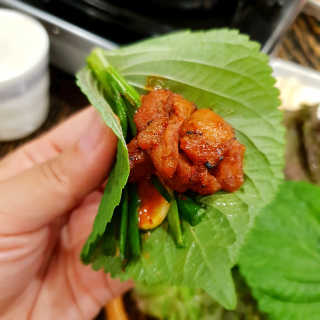 고향원조숯불닭갈비 [고향산천원조숯불닭갈비] 뼈없는 숯불닭갈비 2인세트 — 5점을 준 리뷰어가 2018년 9월 올린 사용 사진
