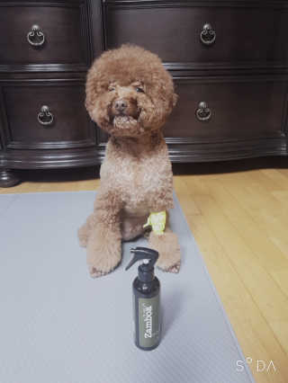 쪼꼬짱님이 올린 리뷰 사진 1