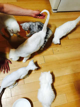 경록영인님이 올린 리뷰 사진 4