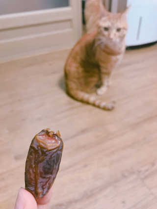 YEON님이 올린 리뷰 사진 3