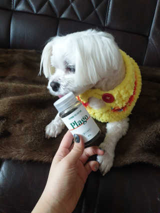 무무님이 올린 리뷰 사진 3