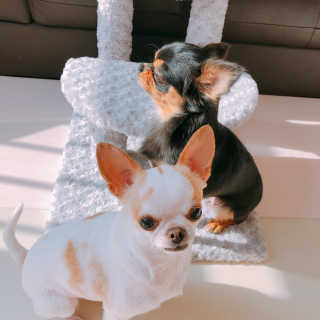 뚜리뚜치님이 올린 리뷰 사진 3