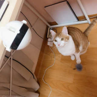 김린님이 올린 리뷰 사진 2