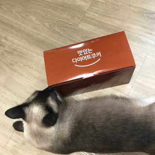 여니몬님이 올린 리뷰 사진 1