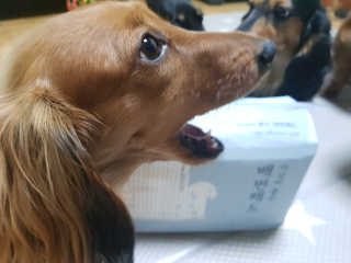 주짱님이 올린 리뷰 사진 2