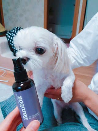 수효니잉님이 올린 리뷰 사진 2