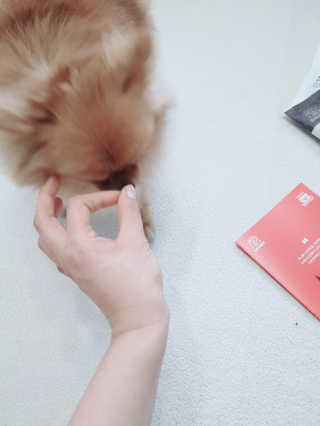 YulaKim님이 올린 리뷰 사진 3