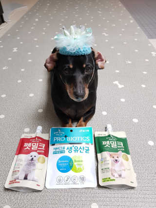 [빙그레] 에버그로 생유산균 1봉（10포입）+펫밀크2팩 — 5점을 준 리뷰어가 2019년 3월 올린 사용 사진