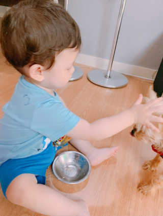 [펫토리아] 토로토로 하치  강아지 파우치간식 — 5점을 준 리뷰어가 2019년 6월 올린 사용 사진