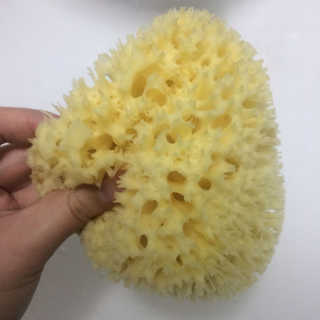 2suya님이 올린 리뷰 사진 1