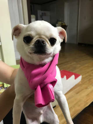 HyunEuihong님이 올린 리뷰 사진 2