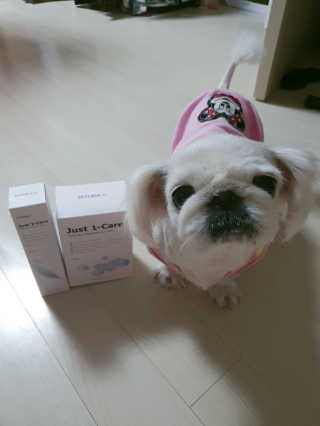 [펫토리아] 뚝딱케어 강아지 고양이 샴푸+미스트 SET — 5점을 준 리뷰어가 2020년 2월 올린 사용 사진