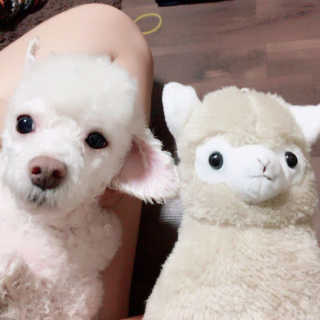 은지짱님이 올린 리뷰 사진 1