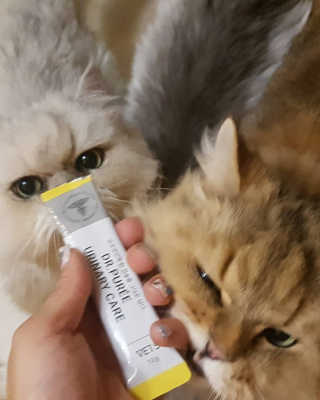 박오뎅님이 올린 리뷰 사진 2