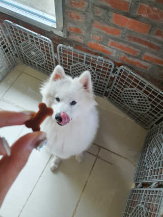 김은둥님이 올린 리뷰 사진 3